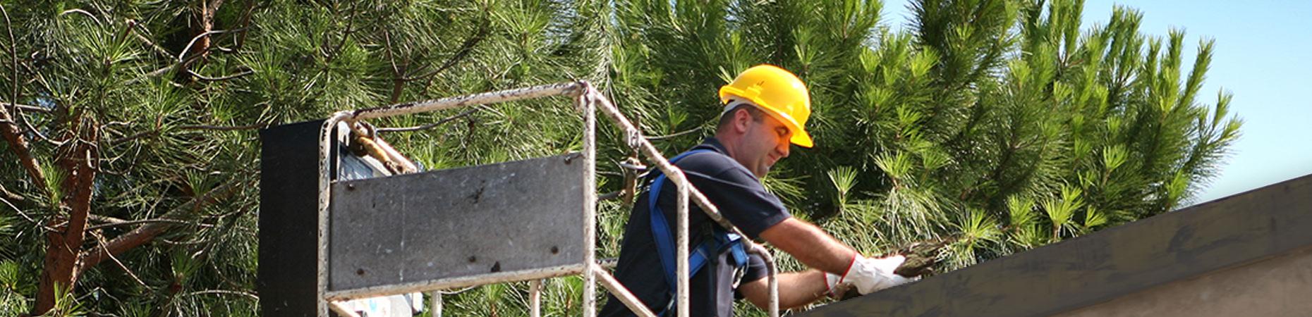 ecoservice-pesaro it pulizie-grondaie-pesaro 005